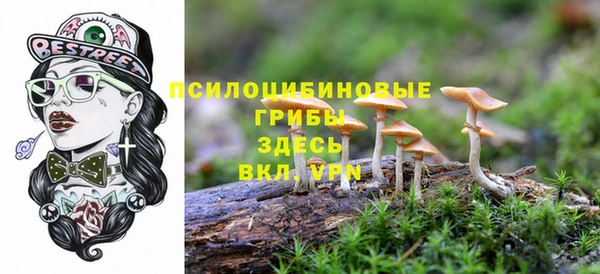амфетамин Каменногорск